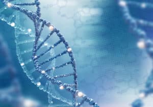 Genetic material
