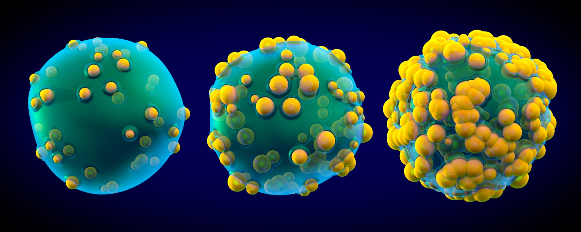 Illustration of immune cells activating and multiplying during immunotherapy treatment