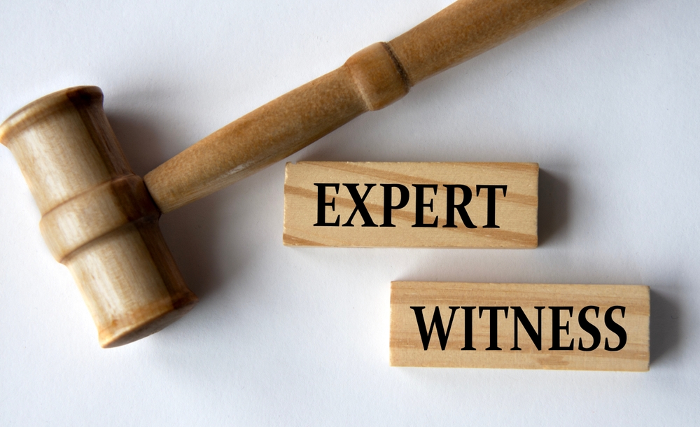 expert witness